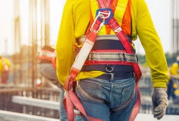 Image de la formation