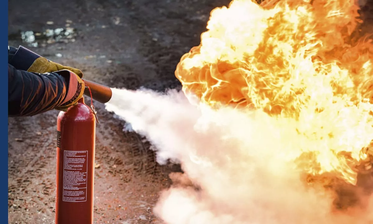 Image de la formation