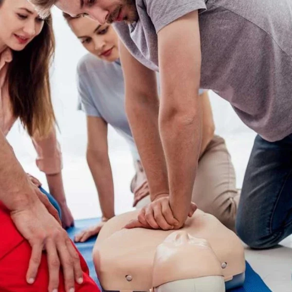 Image de la formation