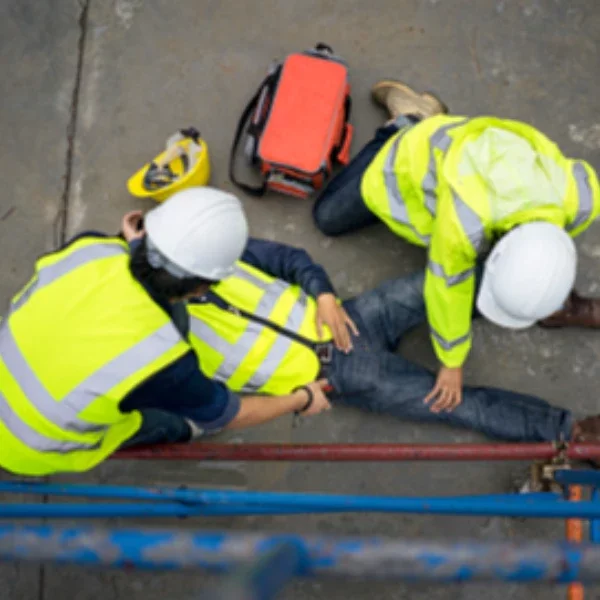 Image de la formation