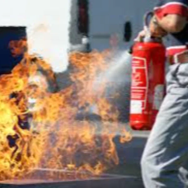 Image de la formation