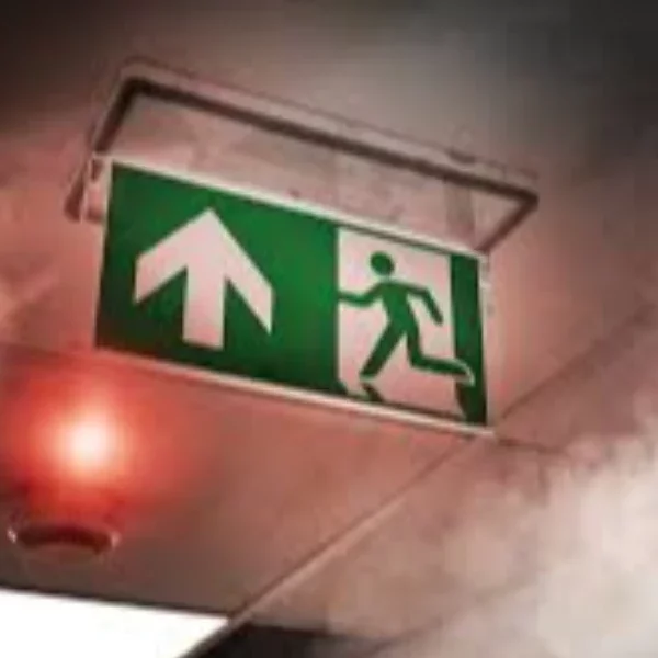 Image de la formation