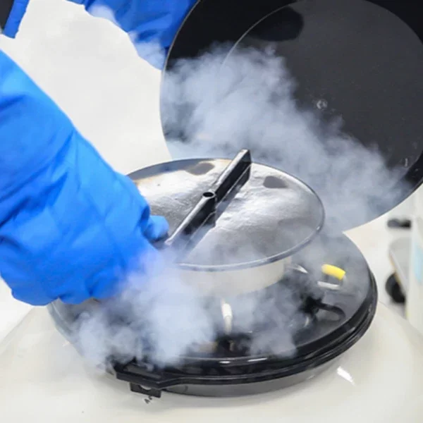 Image de la formation