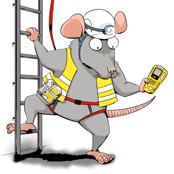 Image de la formation